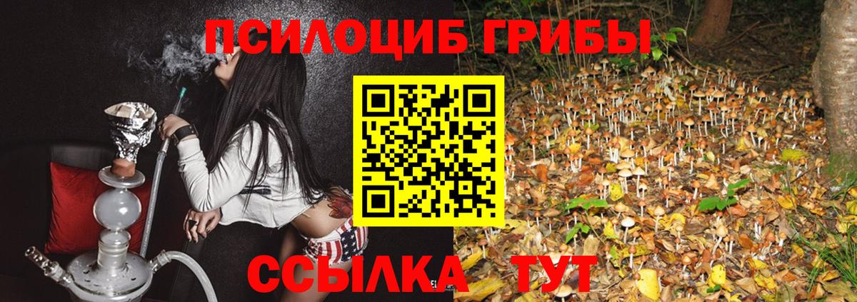 Псилоцибиновые грибы прущие грибы Кондопога