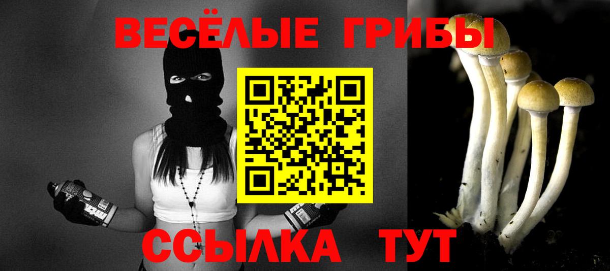 Псилоцибиновые грибы Cubensis  даркнет сайт  Кондопога  Вход с VPN 